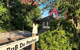 BnB De Peelvos